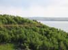 Indian Hills